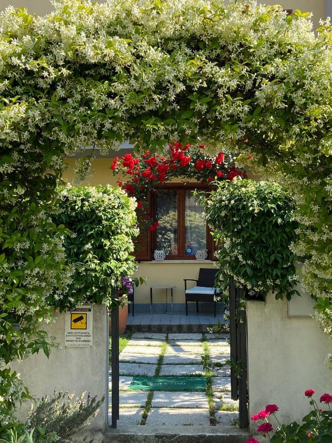 Villa Dei Cedri Scalea Exterior photo